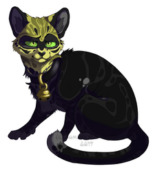 Tabby "Chat" Tabby "Chat"